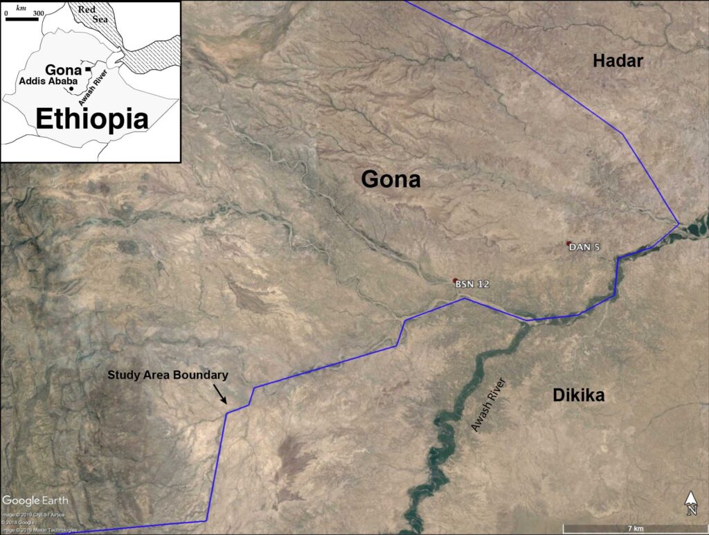 GoogleEarth Map of the Gona study area, showing locations of BSN12 and DAN5.