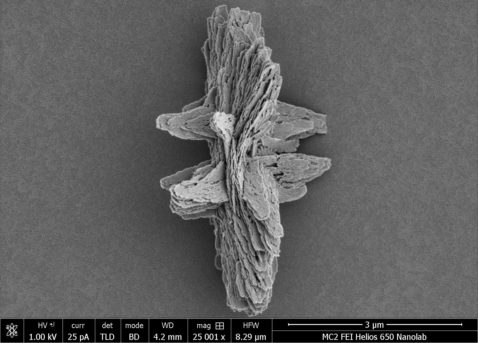 If the gold-cysteine nanosheets are designed to remain flat, the result is a moderately complex design that the researchers called a “kayak” particle. Credit: Wenfeng Jiang, Kotov Lab, University of Michigan