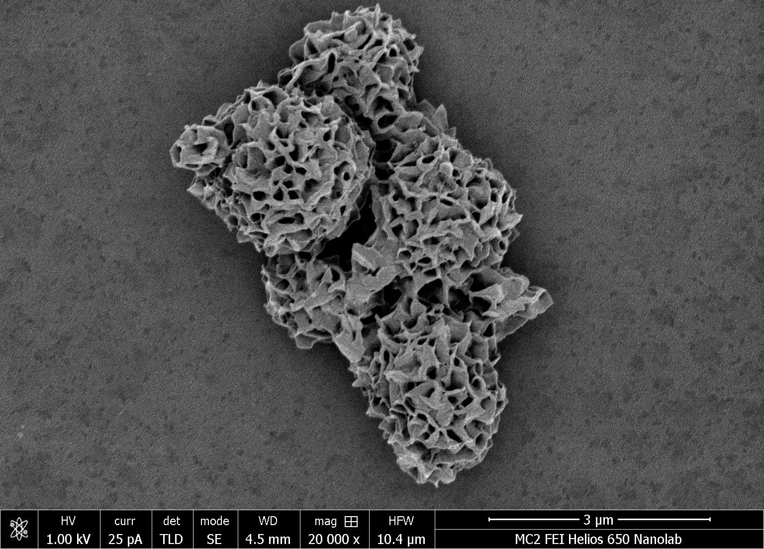 These relatively simple particles arise when flat gold nanosheets attach to one another without several conflicting restrictions. Credit: Wenfeng Jiang, Kotov Lab, University of Michigan