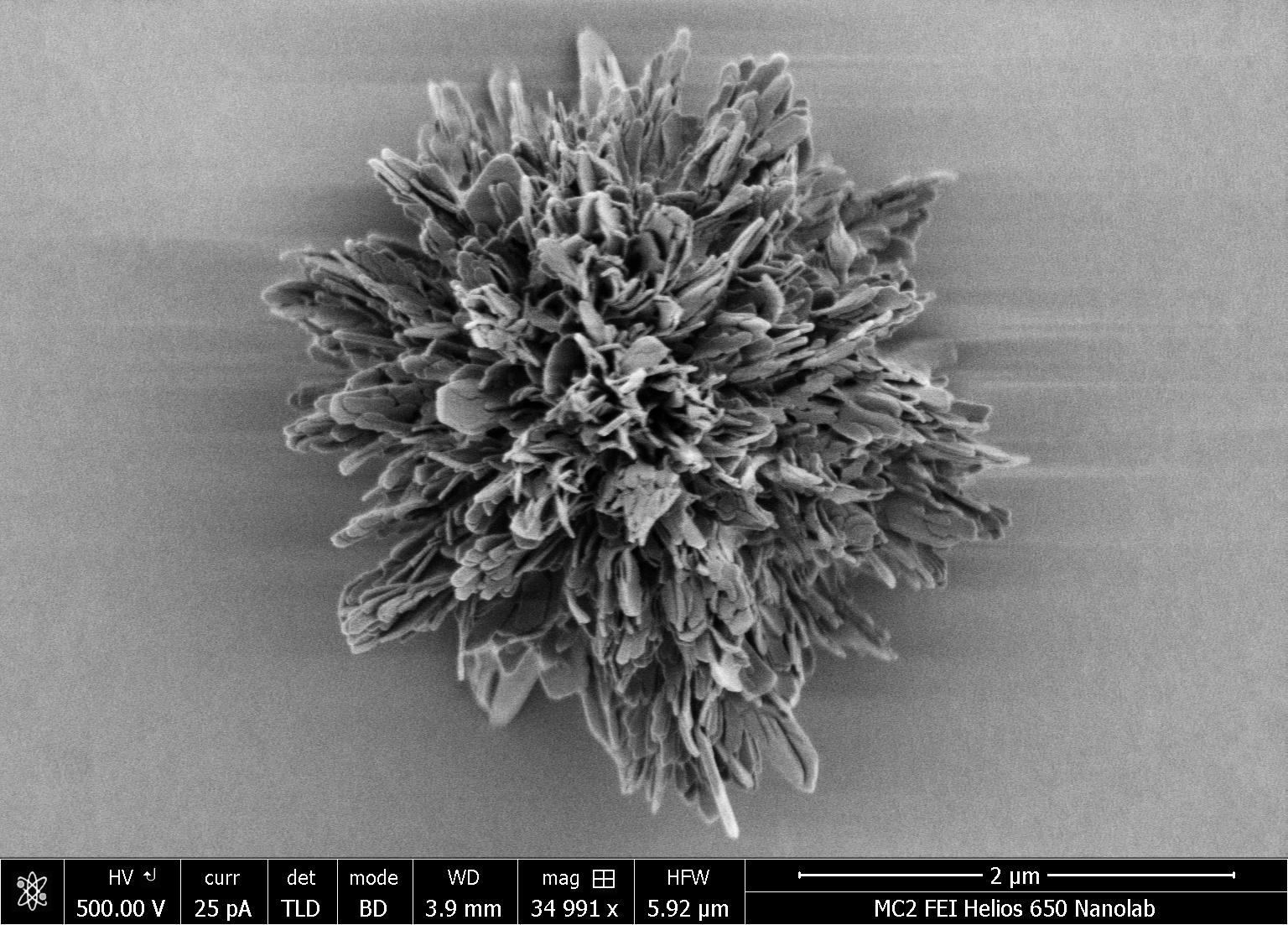 Made from curved gold-cysteine nanosheets that all twist in the same direction, the spiky nanoparticle achieved the highest complexity measured. It absorbs UV light and emits twisted light in the visible part of the spectrum. Credit: Wenfeng Jiang, Kotov Lab, University of Michigan