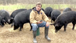 Joe Trumpey and his pigs. Image credit: Shelly Voigt Trumpey