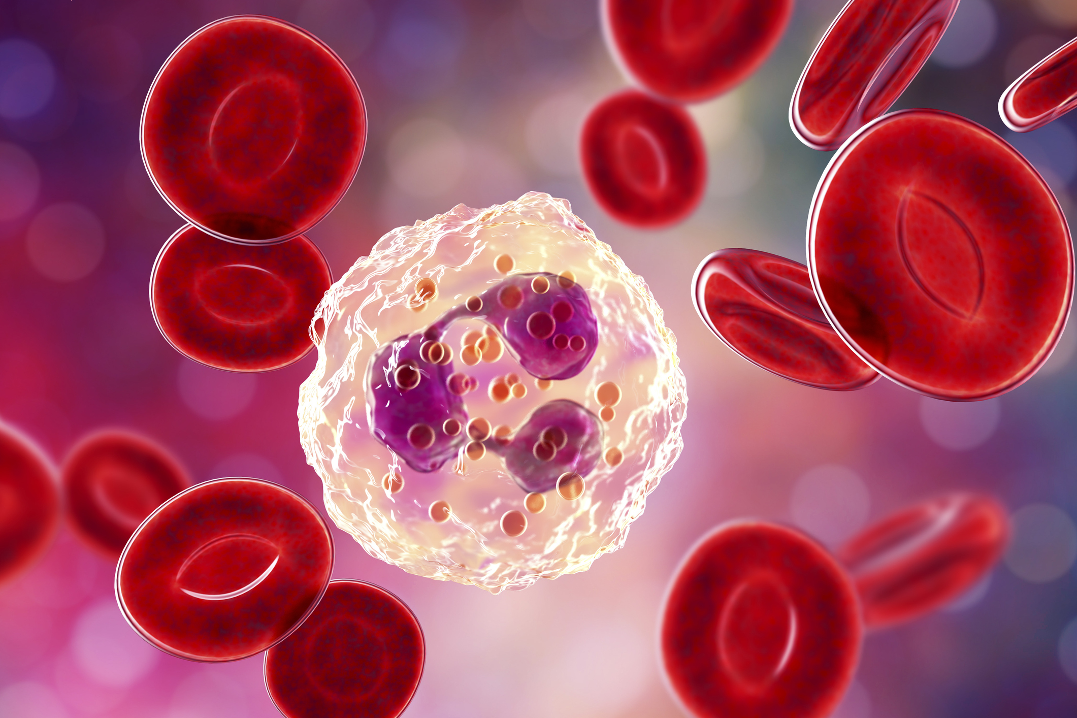 Neutrophil, a white blood cell, 3D illustration. Image credit: iStock