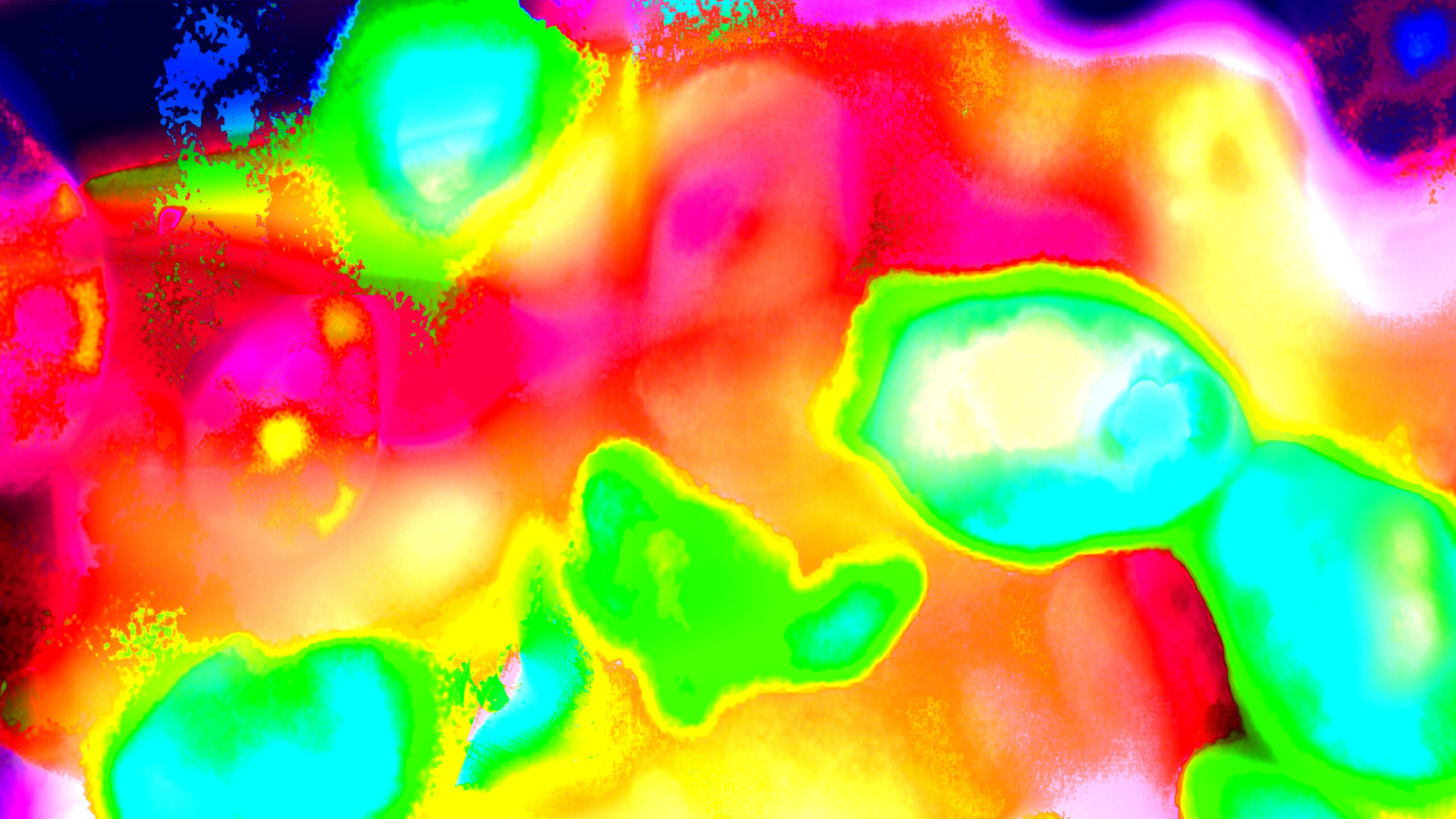 Heat map of thermogenic fat cells (artistic rendering). Image credit: Life Sciences Institute multimedia designer Rajani Arora