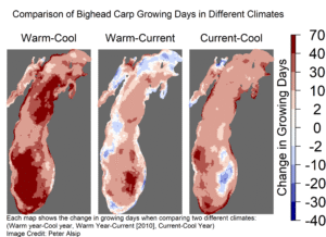 Each map shows simulated changes in the number of bighead carp growing days in Lake Michigan when comparing two different climates. The map on the left compares a warm year (1998, which had water temperatures within the range of values expected in the period 2030-2090, according to climate models) to a cool year (1997, a year with a colder than average winter-spring period, was used in the simulations). The middle map compares a simulated warm year to current Lake Michigan conditions (for the purposes of this study, the year 2010 represents current conditions). The map on the right compares current conditions to a cool year. Image credit: Peter Alsip. From Alsip et al. in Biological Invasions, July 2020, https://doi.org/10.1007/s10530-020-02296-4.