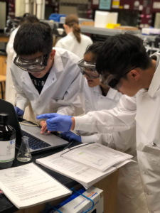 Students analyze data in the laboratory during the 2019 class. Image credit: The McNeil Group