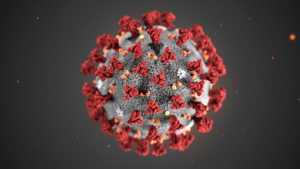 CDC's digitally reproduced version of COVID-19