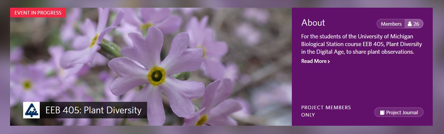 Davis and Fawcett designed a new course, Plant Diversity in the Digital Age, to address the role of technology in the research and curation of plants.