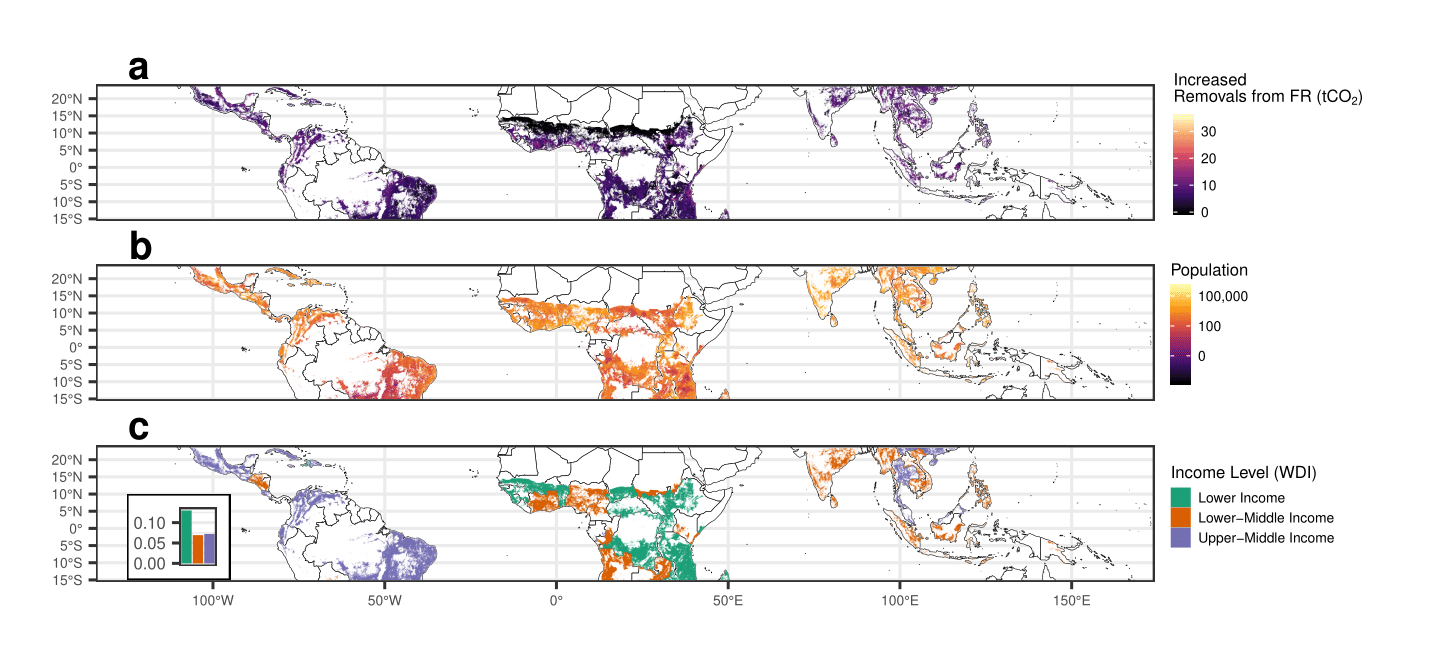 Three maps of forest restoration opportunity areas in the tropics at the equator.