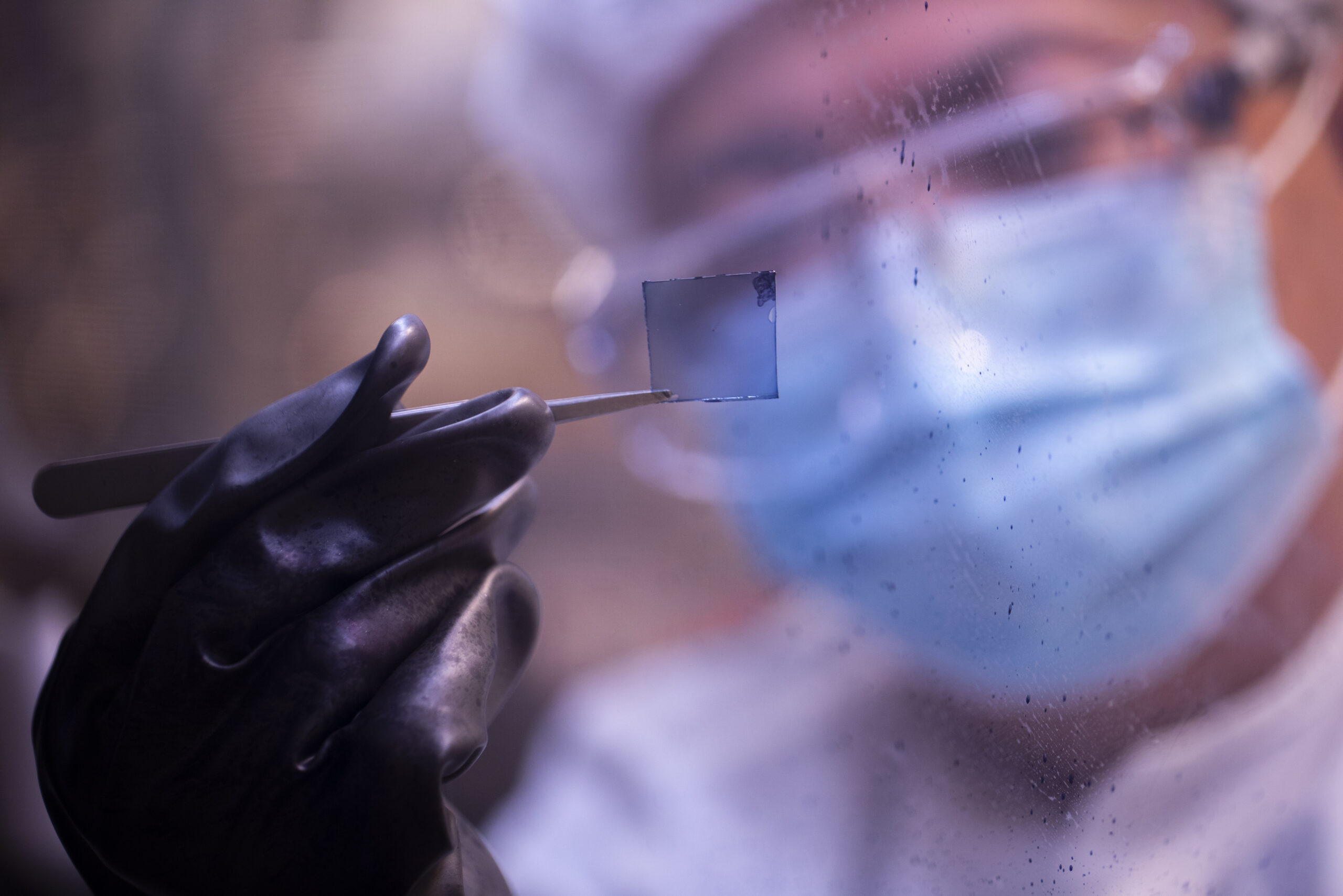 Yongxi Li holds up a sample of a transparent solar cell. Image credit: Robert Coelius, Michigan Engineering Communications & Marketing