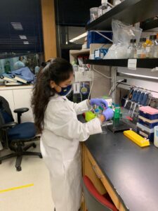 Srijoni Majhi working in a lab.