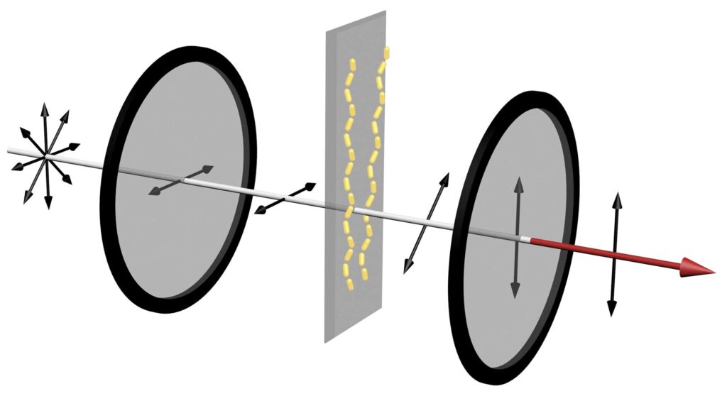 In a device that can reveal whether amyloid proteins are assembling into chains, unpolarized light enters a horizontal polarizer. This only allows waves oscillating in the horizontal direction to get through. Then, if the amyloid proteins have assembled the gold nanorods into chains, red light gets twisted, changing the angle of its polarization. Then, when it passes through the vertical polarizer, the portion of the light oscillating in the vertical direction gets through. This results in a strong red signal that can be seen with the naked eye. Credit: Jun Lu, Jilin University and University of Michigan.