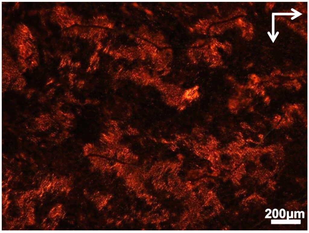 The view through the polarizer shows where light-twisting structures have formed in a soup of cells and biological materials. Credit: Jun Lu, Jilin University and University of Michigan.