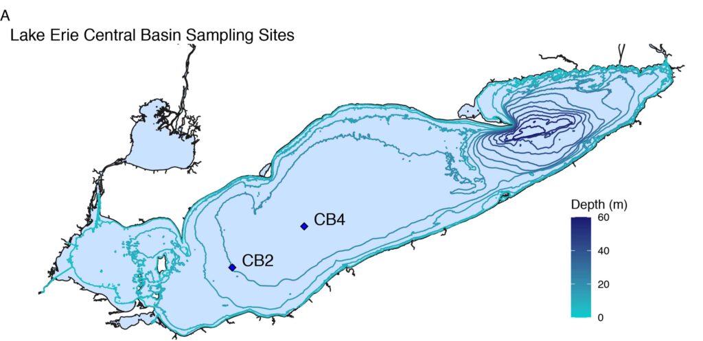Map shows two locations (CB2 and CB4) in Lake Erie's central basin