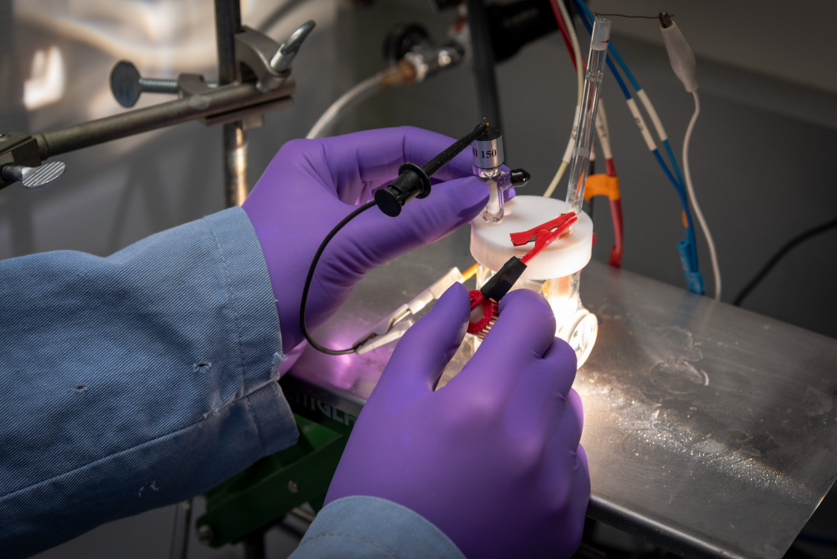 Close up of hands doing testing of artificial photosynthesis.