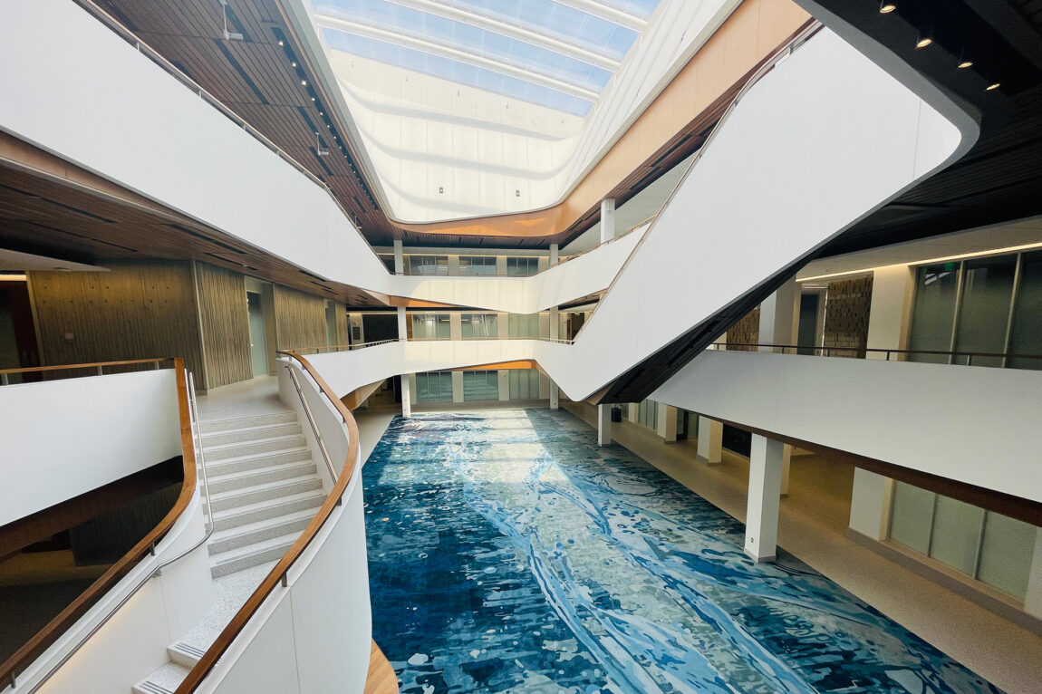 Photo of a skylight over a new atrium in the School of Kinesiology Building.