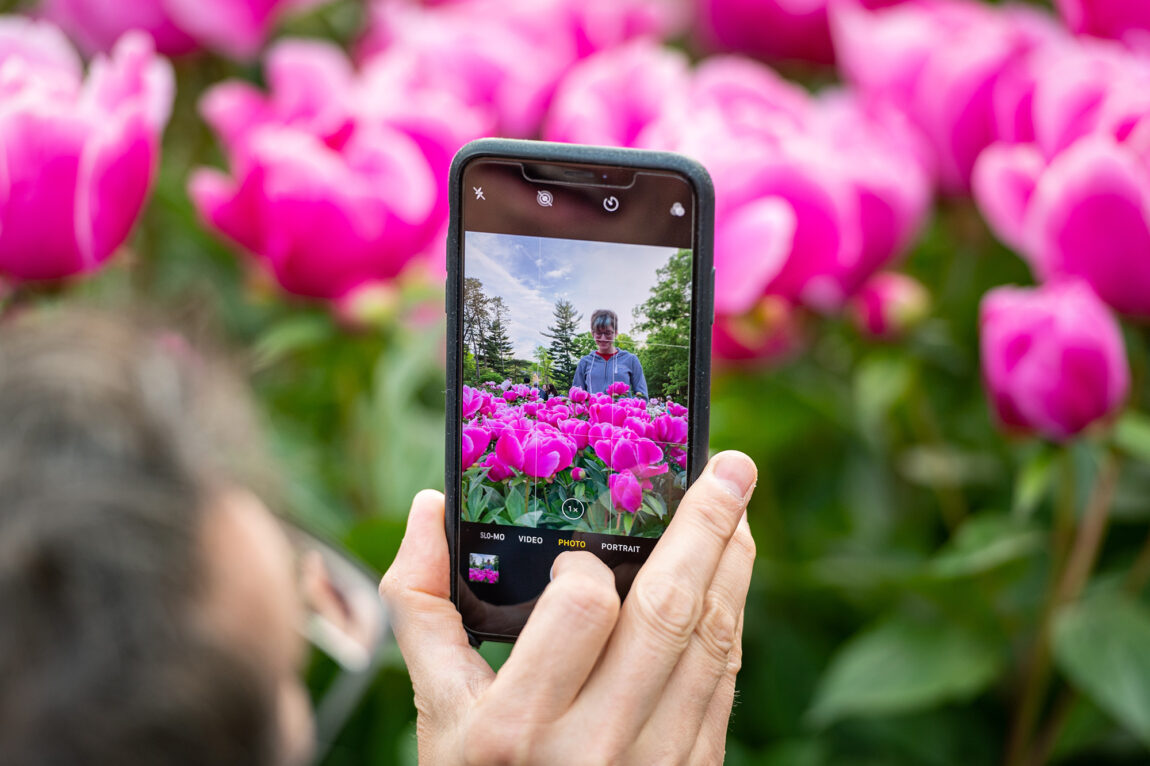 The Nichols Arboretum peony garden is a favorite spot for photographers and selfies. (Photo by Scott  C. Soderberg, Michigan Photography)