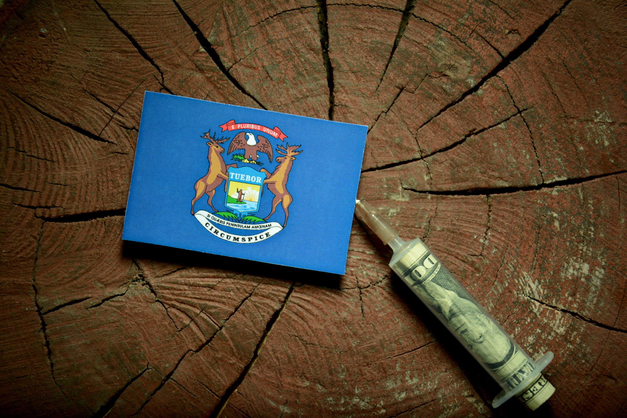 Michigan flag on a stump with syringe injecting money in flag. Image credit: iStock
