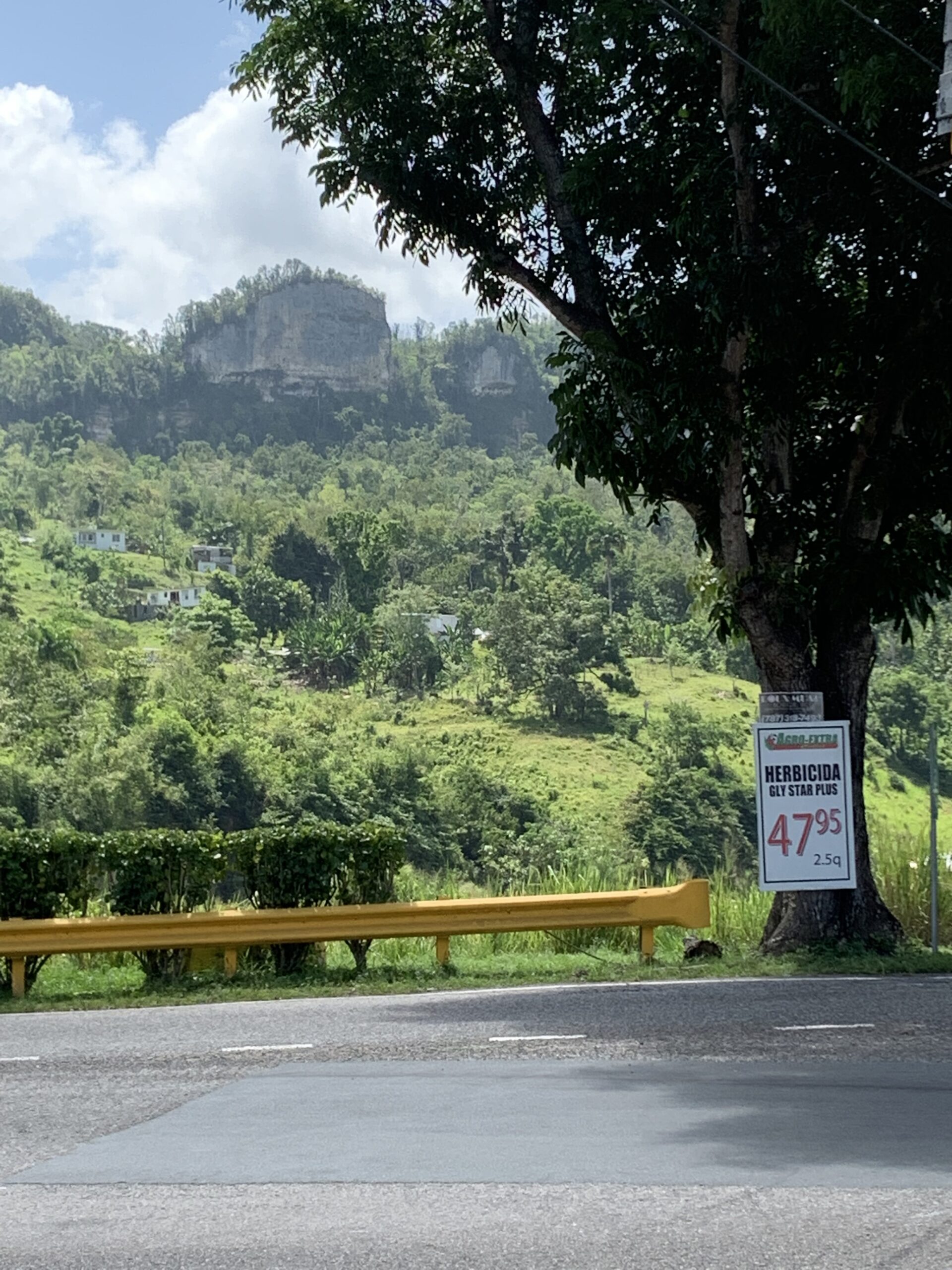 Photo caption: A sign advertising a glyphosate-based herbicide in northern Puerto Rico inspired University of Michigan researchers to look into the impact of the chemical on preterm births in the island. Image credit: John Meeker, University of Michigan School of Public Health.