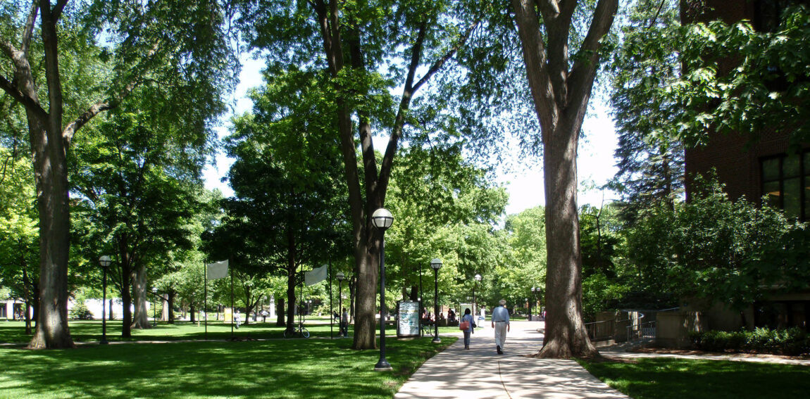 Across U-M’s campus, mature, majestic canopies of trees help shape the campus experience, like these near the Diag on Central Campus. (Courtesy of Campus Planning)