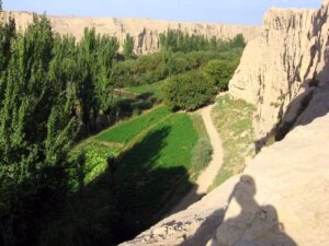 Turpan Oasis in Northwest China