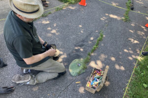 Zinn begins to fill in the lizard