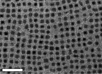 Cubes of lead telluride and triangles of lanthanum fluoride self-assembled into a grid in the lab, when the researchers followed the conditions discovered through the computer simulations. This technique could help enable new kinds of materials with new properties. The scale bar on the electron microscope image is 100 nanometers. Image credit: Murray Lab, University of Pennsylvania