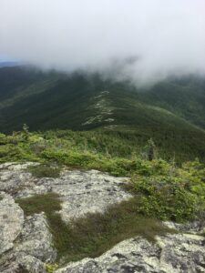 Appalachian Trail on Saddleback Mountain Maine. Image courtesy: Philip D'Anieri