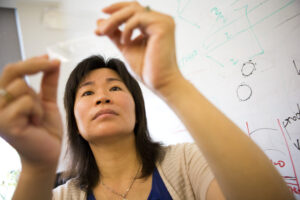 Nina Lin, an associate professor of chemical engineering and biomedical engineering at the University of Michigan, is a co-founder of Ecovia Renewables, which is creating bio-based, compostable alternatives to widely-used petroleum-based materials. She and her team previously participated in the NSF I-Corps program. Photo: Joseph Xu, Michigan Engineering Communications & Marketing