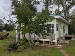 The author's cabin in the woods