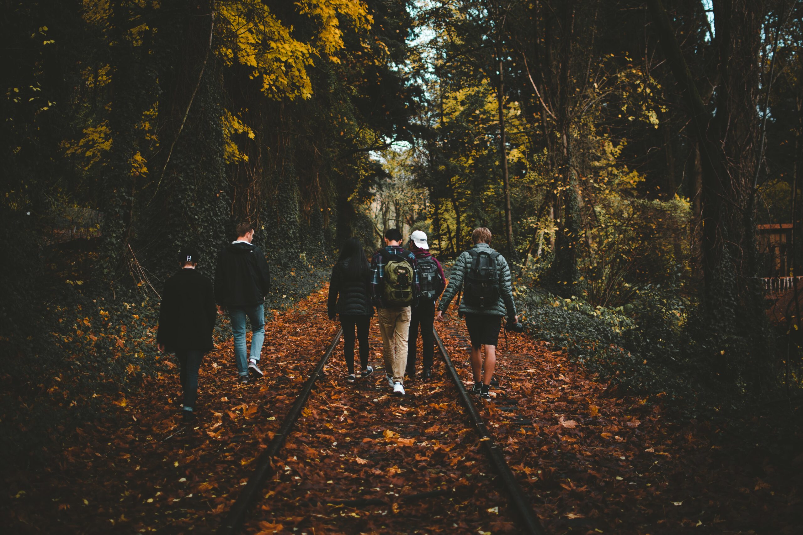 A group of young people walking in the woods. Image credit: Anthony Intraversato, Unsplash
