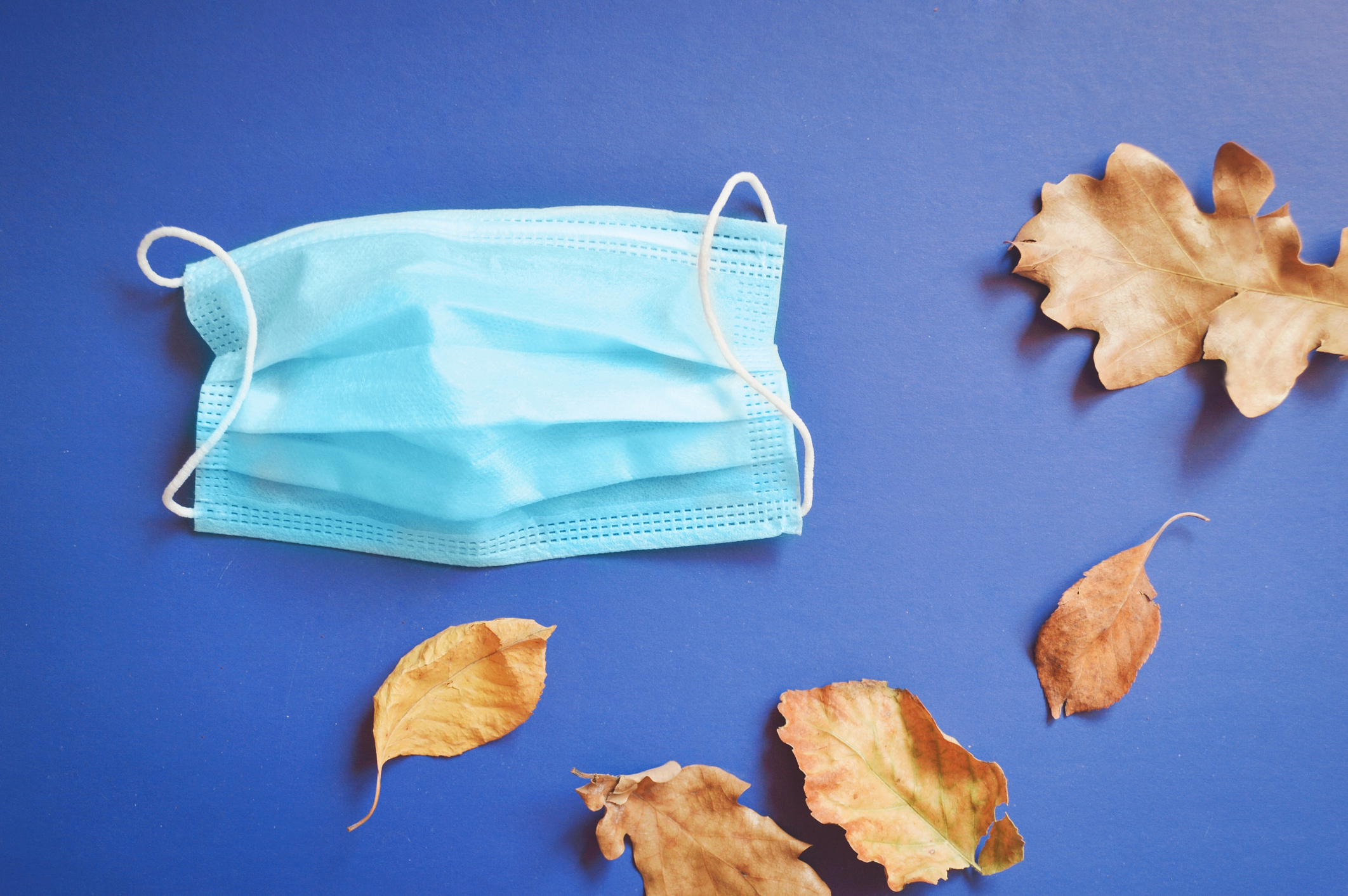 Second wave of coronavirus in autumn and winter. Blue disposable medical mask and yellow leaves. Image credit: leares, iStock