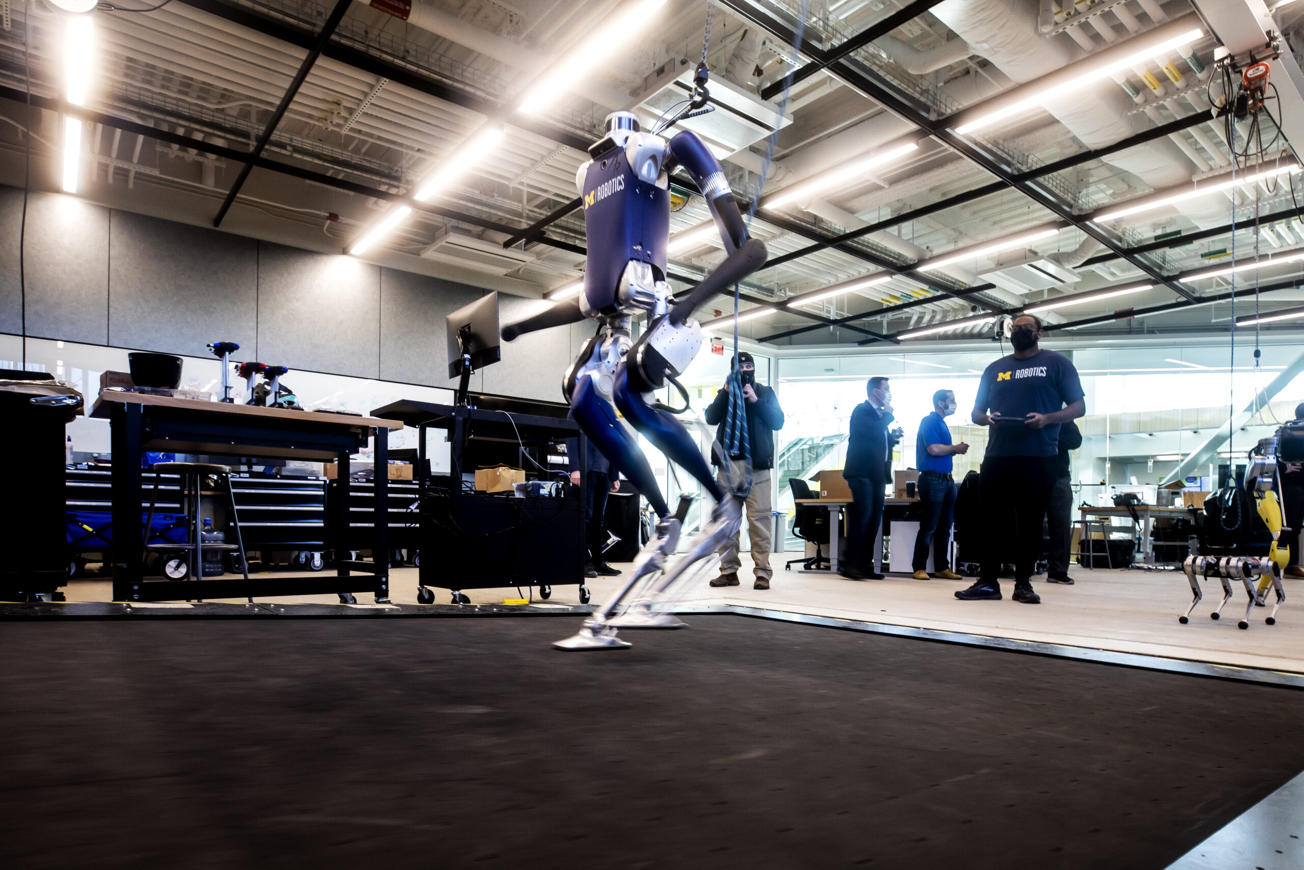 Digit, a bipedal robot, is tested in the Ronald D. And Regina C. McNeil Walking Robotics Laboratory in the Ford Robotics Building at the University of Michigan in Ann Arbor, MI. Robots are tested in a variety of situations to allow for a variety of bipedal and quadrupedal robots to function in various environments. Photo: Joseph Xu/University of Michigan Engineering.
