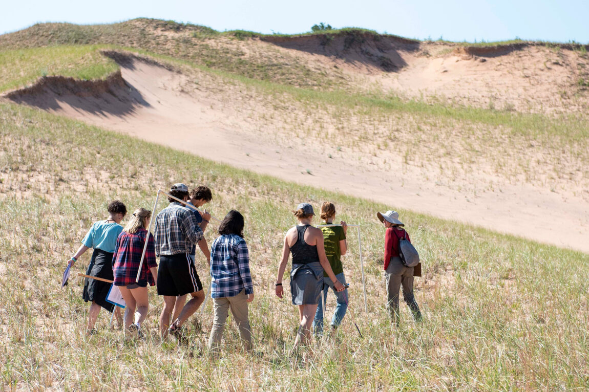 Photo of U-M undergraduates performing fieldwork in a flagship northern Michigan dune habitat.