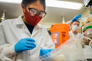 University of Michigan researchers, including Renisha Karki, a graduate student research assistant, are working on a new biodigester that converts organic solid waste from trash and wastewater into renewable methane. The digester mirrors the ability of a cow’s stomach to efficiently break down substances. Image credit: Robert Coelius/Michigan Engineering