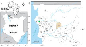 Map of the geographic position of Ileret Kenya and locality Area 14. A.) Map of the area of interest for the recovery of elephant cranium KNM-ER 63642 (Loxodonta adaurora), Ileret Region, northeast side of Lake Turkana. The green dot indicates the position of Ileret. B.) Detailed map of fossil localities in the Ileret Region. KNM-ER 63642 was recovered from Area 14 (highlighted). Image credit: Carol Abraczinskas, University of Michigan Museum of Paleontology