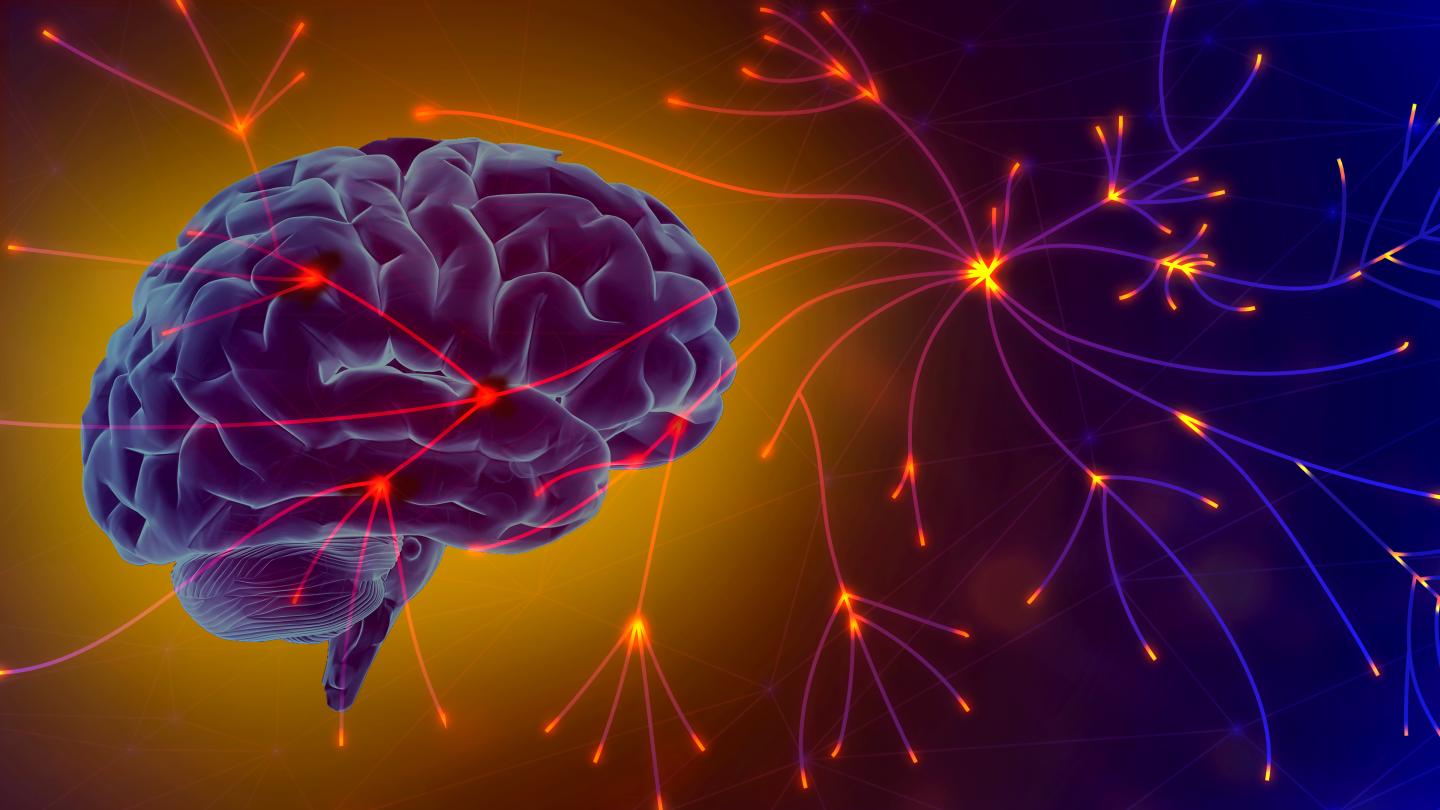 Abstract illustration of a brain and energy. Image courtesy: Life Sciences Institute