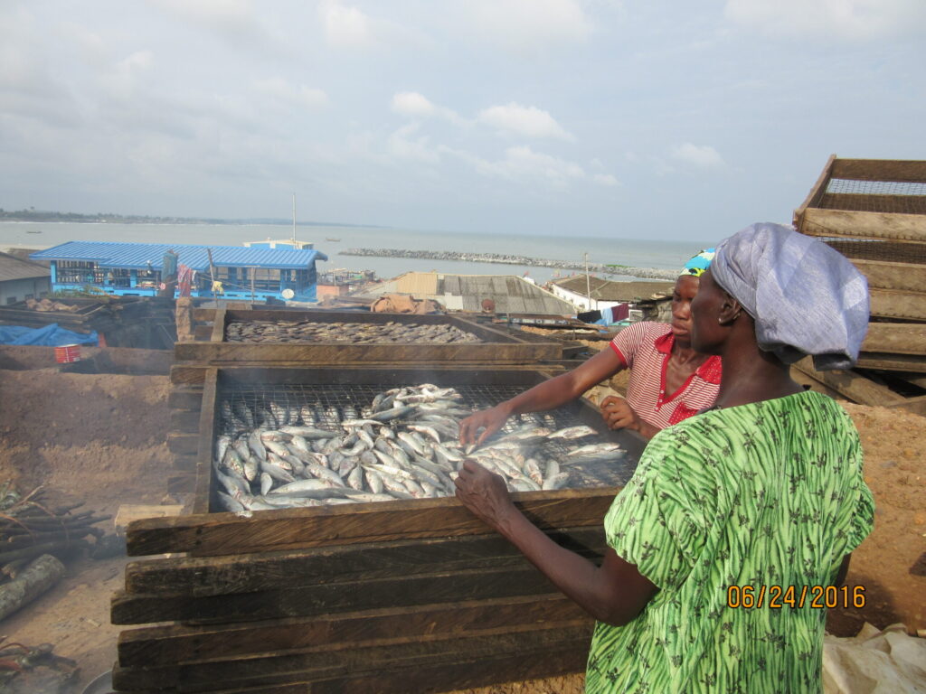 Fish being smoked in the coastal Ghanaian city of Elmina. The fish are loaded onto wood-framed metal screens that are then stacked atop rudimentary, wood-fired mud ovens. Image credit Pam Jagger