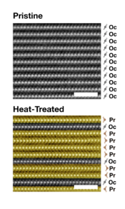 This electron microscopy image shows the atoms within individual two-dimensional layers of tantalum sulfide before and after the heat treating process. Before heat-treating, all layers are bonded with octahedral geometry. After heat-treating, most layers are bonded with prismatic geometry. The remaining octahedral layers exhibit ordered charged density waves and have switched from conductor to insulator. The white scale bar represents two nanometers. Image credit: Suk Hyun Sun
