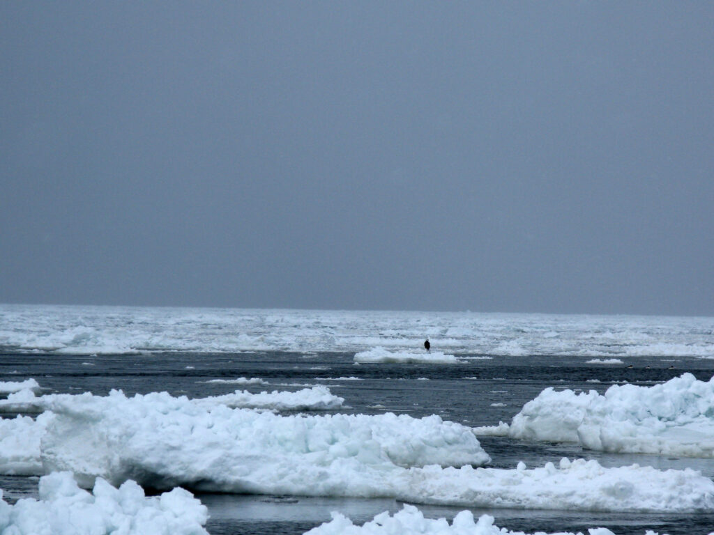 Ice sampling along the Lake Michigan shoreline near Grand Haven, January 2009. Photo by S. Darnell, courtesy of NOAA Great Lakes Environmental Research Laboratory