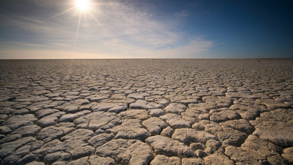 A dried-up riverbed. Image credit: Oleksandr Sushko, Unsplash