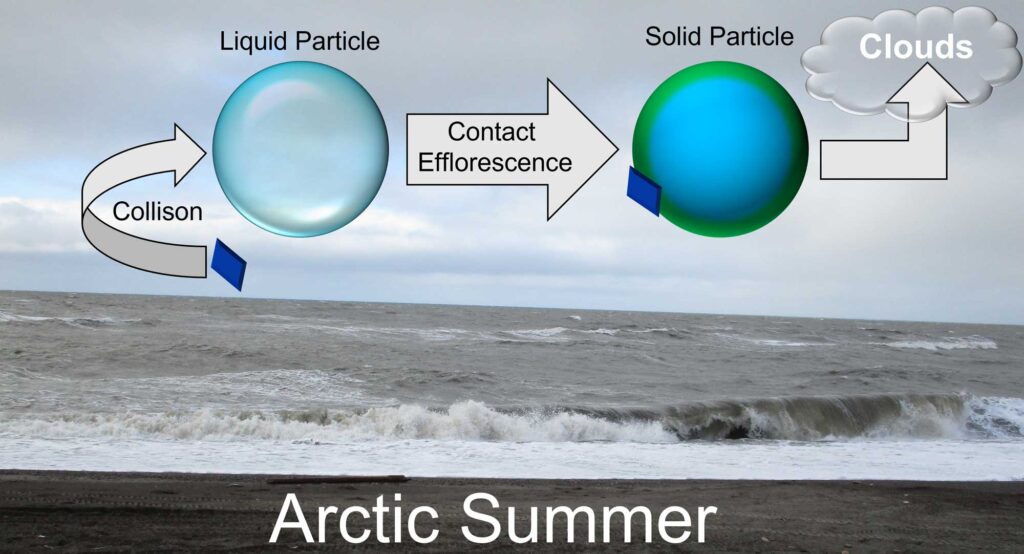 As the Arctic loses ice, researchers expect to see more of these unique particles formed from oceanic emissions combined with ammonia from birds, which will impact cloud formation and climate. Image courtesy: Andrew Ault and Matt Gunsch
