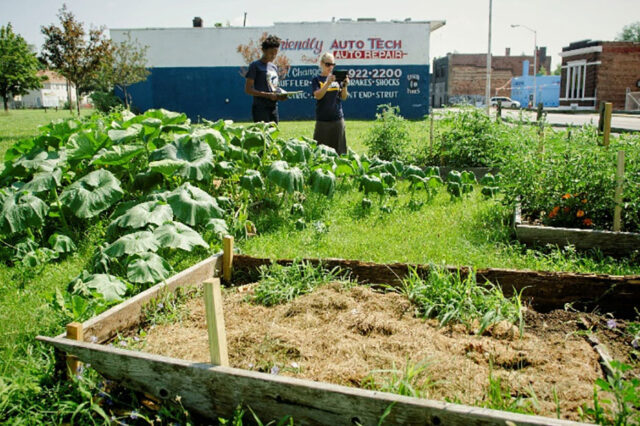 Photo of students assessing an urban agricultural site in Detroit's Lower Eastside.