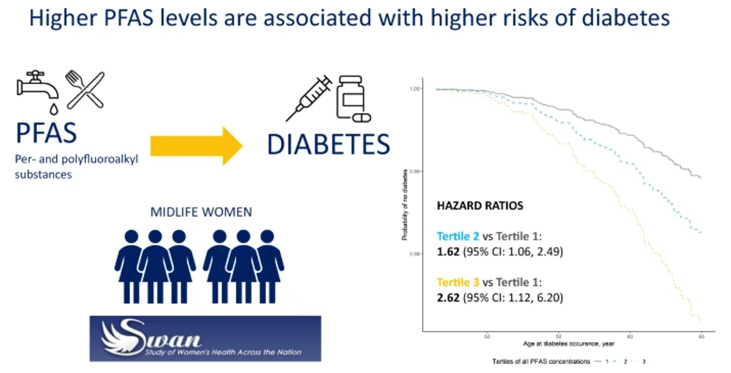 Study abstract: Higher PFAS levels are associated with higher risks of diabetes.