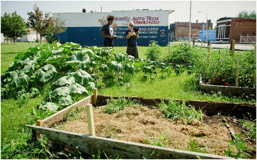Students assessing an urban agricultural site in Detroit's Lower Eastside. Image credit: Photo by Dave Brenner/University of Michigan, from Newell et al. in the journal Cities, 2022