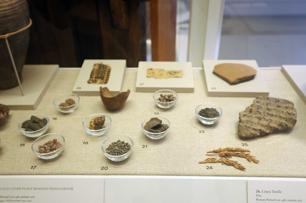 A collection of crops, grains and other artifacts excavated from the Karanis site in Egypt are on display at the Kelsey Museum of Archaeology. Image credit: Jeremy Marble, Michigan News