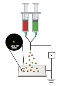 The diagram shows how the nanoparticles are made. Each syringe contains one of the drugs suspended in a protein solution, which come together at the end of the needle. There, a positive voltage causes the solution to rapidly accelerate, the liquid evaporating in flight on the way to the grounded collection surface. This produces solid, two-compartment nanoparticles. Credit: Ava Mauser, Lahann Lab, University of Michigan.