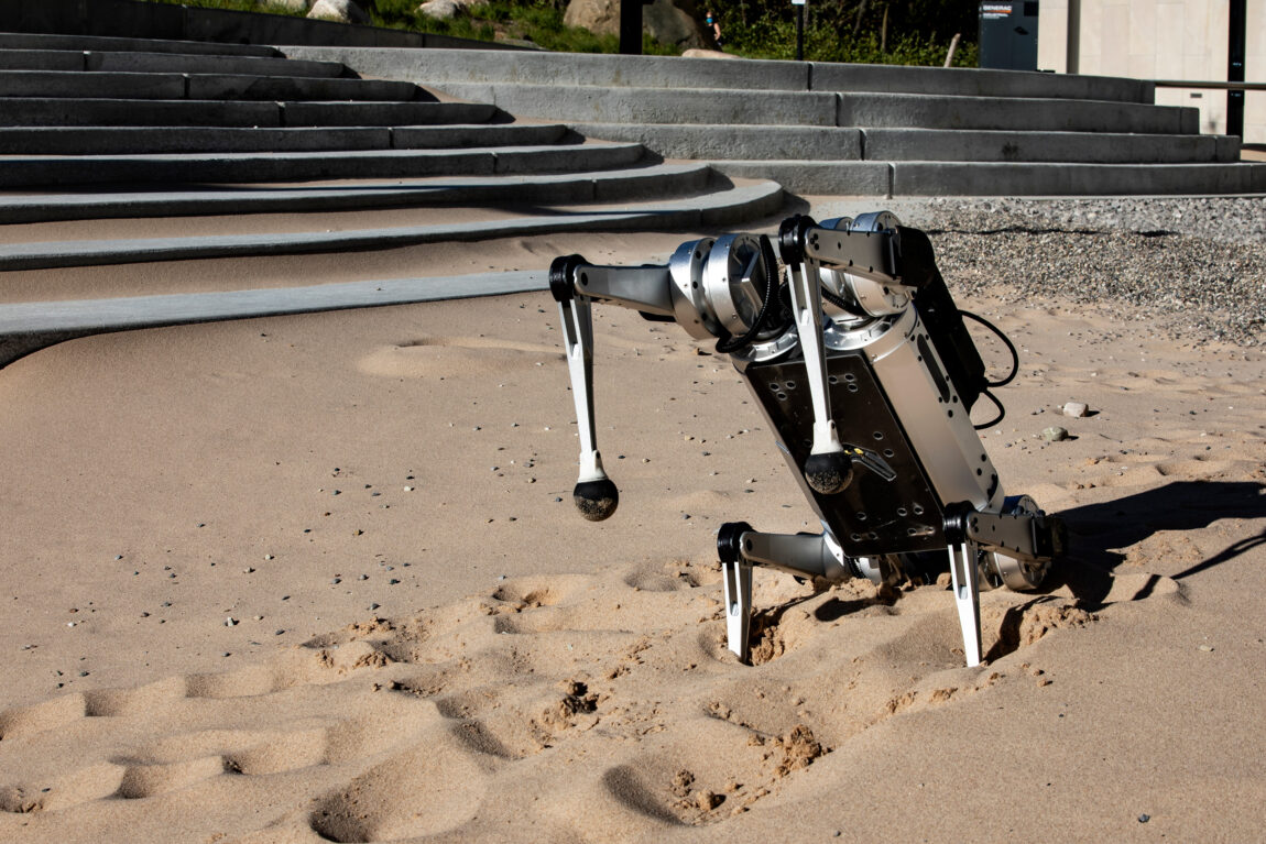 A four-legged robot shows off its sitting position in the Robot Garden sands outside the Ford Robotics Building. (Photo by Robert Coelius, College of Engineering)
