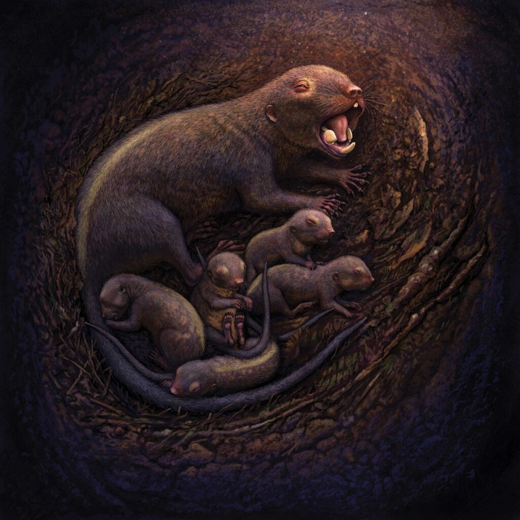 An artistic rendering of multituberculates from the genus Mesodma — a mother with her litter of offspring — who lived in western North America&nbsp; 60 to 70 million years. Fossil evidence indicates that these creatures were the most abundant mammals in western North American just before and directly after the mass extinction event 66 million years ago that killed off the dinosaurs. Image credit:&nbsp; Andrey Atuchin