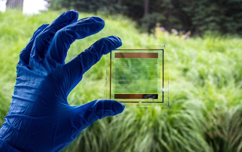 Xinjing Huang, a PhD student in applied physics, demonstrates the semi-transparent view through the solar cell. The new manufacturing process could enable meter-scale electricity-producing windows.&nbsp;Image credit: Silvia Cardarelli, Electrical and Computer Engineering