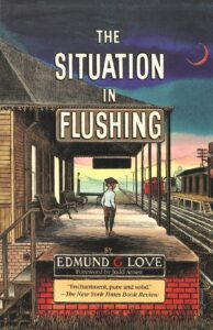 Situation in Flushing Book cover